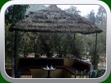 Wild Flower Resort, Bandhavgarh