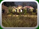 Wild Flower Resort, Bandhavgarh